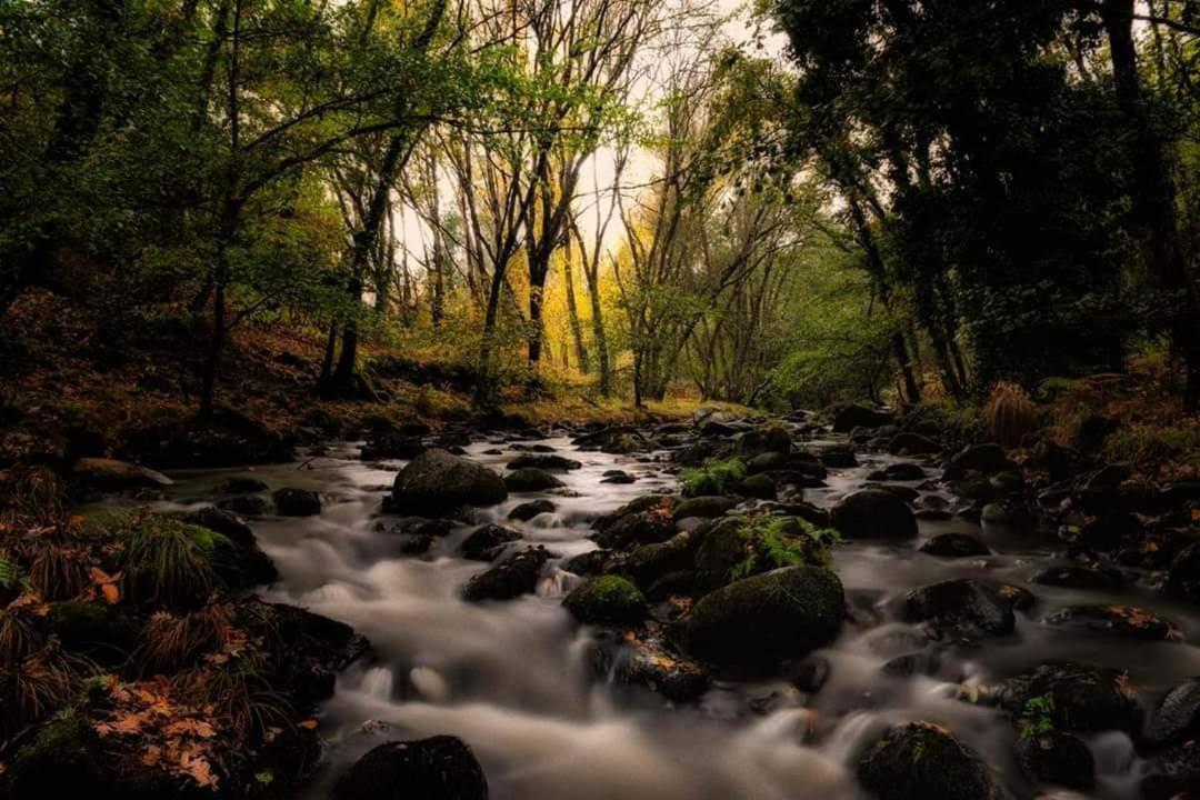 Hostel El Lago, Caceres Хараис-де-ла-Вера Экстерьер фото