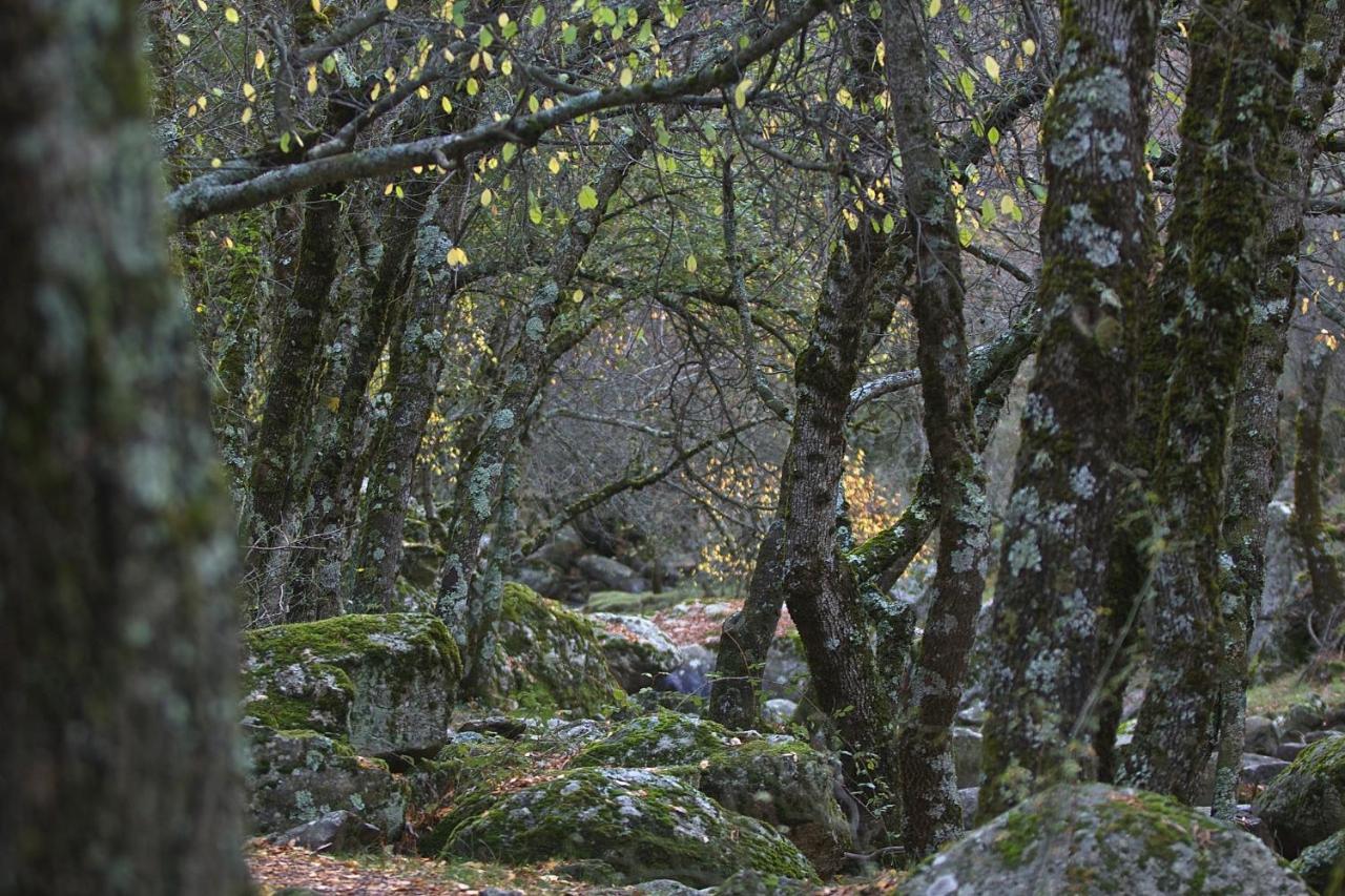 Hostel El Lago, Caceres Хараис-де-ла-Вера Экстерьер фото